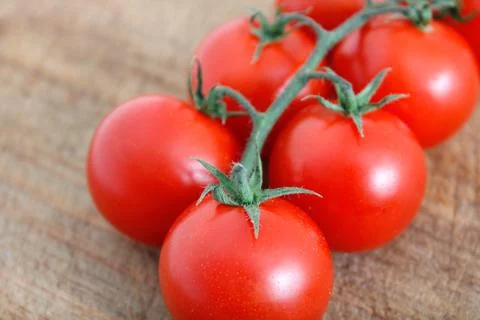 Tomatoes Stock Photos