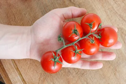 Tomatoes Stock Photos