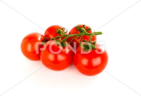 Tomatoes Stock Photos