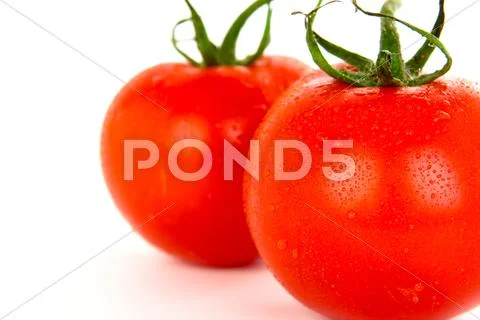 Tomatoes Stock Photos