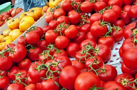 Tomatoes Stock Photos