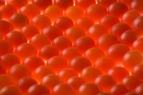 Tomatoes Stock Photos