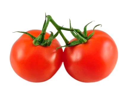 Tomatoes Stock Photos