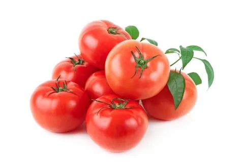 Tomatoes Stock Photos