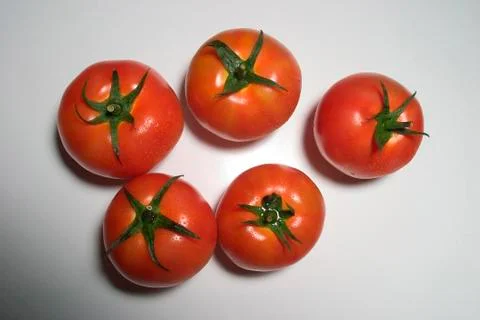 Tomatoes 写真素材