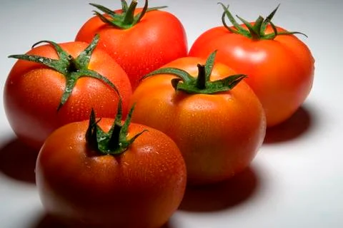 Tomatoes Stock Photos