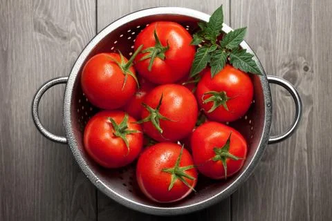 Tomatoes Stock Photos