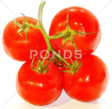 Tomatoes Stock Photos
