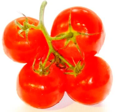 Tomatoes Stock Photos