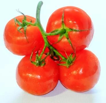 Tomatoes Foto stock