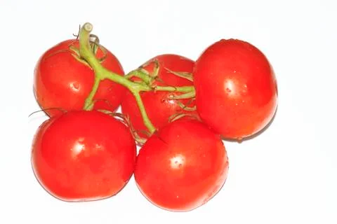 Tomatoes Stock Photos