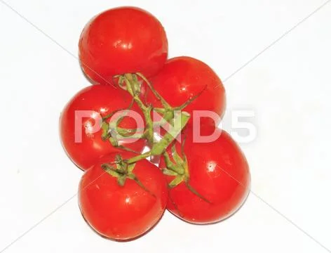 Tomatoes Stock Photos