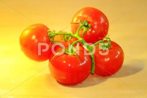 Tomatoes Stock Photos