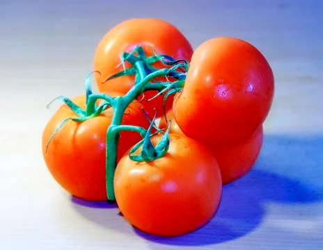 Tomatoes Stock Photos