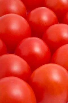 Tomatoes Stock Photos