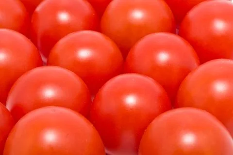 Tomatoes Stock Photos