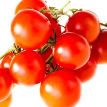 Tomatoes Stock Photos