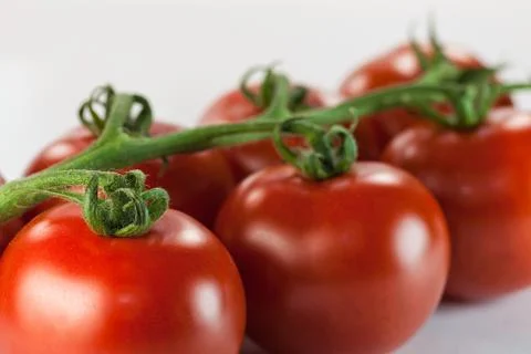 Tomatoes Stock Photos