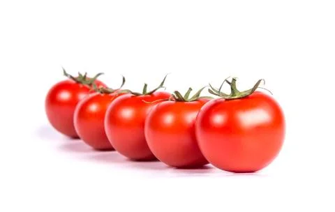 Tomatoes Stock Photos