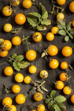 Tomatoes Stock Photos