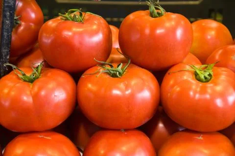 Tomatoes Stock Photos