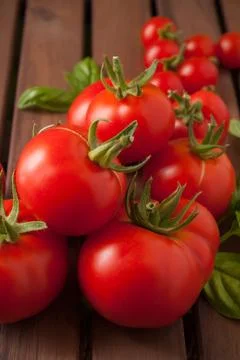 Tomatoes Stock Photos