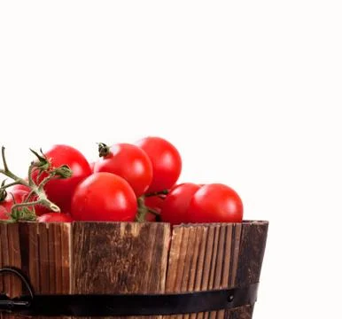Tomatoes Stock Photos