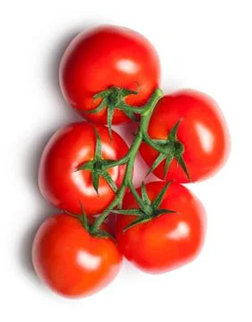 Tomatoes Stock Photos