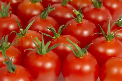 Tomatoes Stock Photos