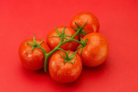 Tomatoes Stock Photos