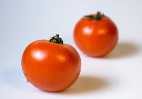 Tomatoes 스톡 사진