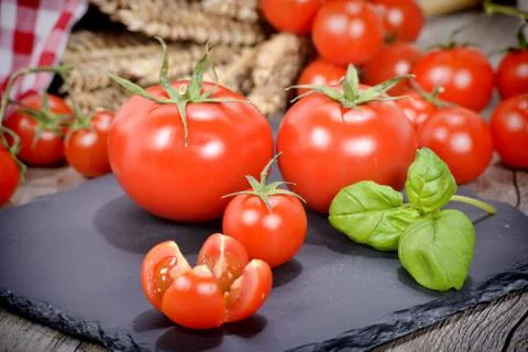 Tomatoes Stock Photos