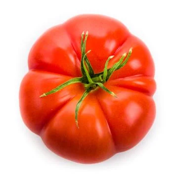 Tomatoes Stock Photos