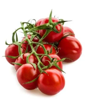 Tomatoes Stock Photos