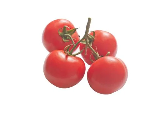 Tomatoes Stock Photos