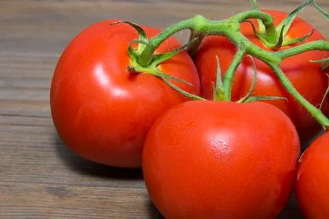 Tomatoes Stock Photos