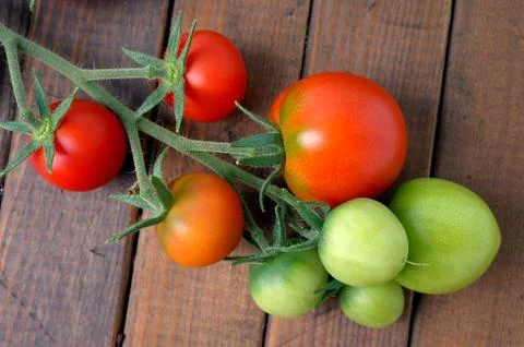 Tomatoes Stock Photos