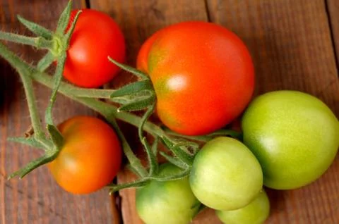 Tomatoes Stock Photos