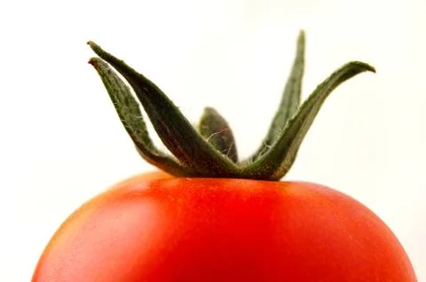 Tomatoes Stock Photos