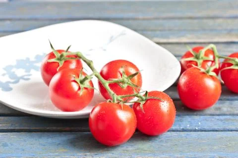 Tomatoes Stock Photos