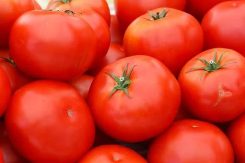 Tomatoes Stock Photos
