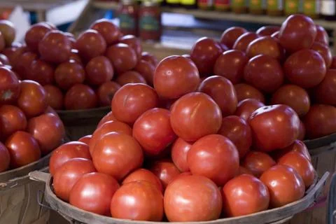 Tomatoes Stock Photos