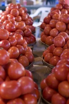 Tomatoes Stock Photos