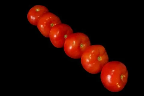 Tomatoes. Stock Photos