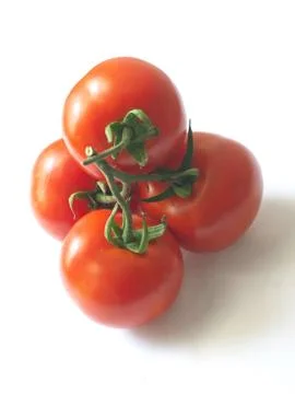 Tomatoes Stock Photos