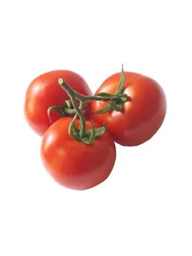 Tomatoes Stock Photos