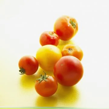 Tomatoes  Stock Photos