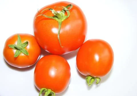 Tomatoes Stock Photos