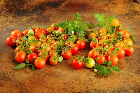 Tomatoes Stock Photos