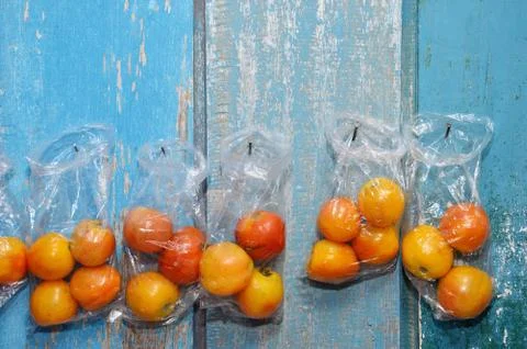 Tomatoes Stock Photos